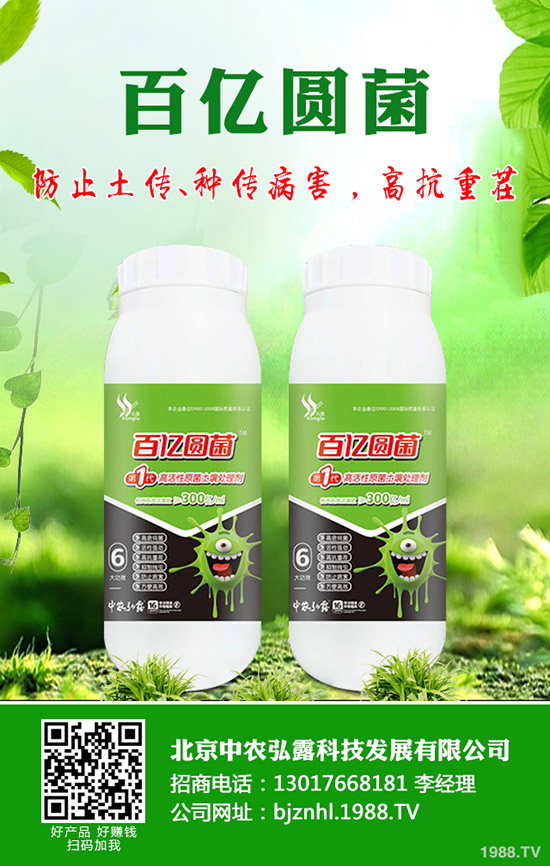 ʲôa(chn)ʺαʺİl(f)