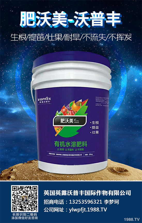 長(zhǎng)期低溫寡照,蔬菜長(zhǎng)勢(shì)差該如何解決?冬季大棚補(bǔ)光的幾項(xiàng)措施