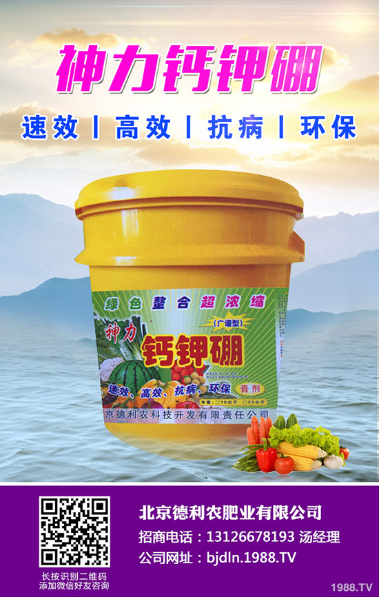 平菇栽培什么環(huán)境好 ,平菇栽培環(huán)境要求及技巧