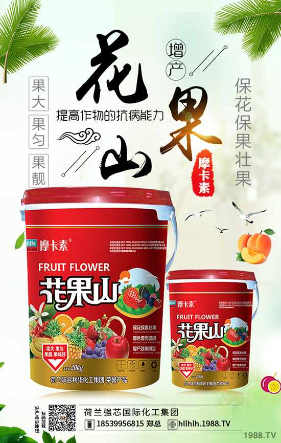 荷蘭強(qiáng)芯國際化工集團(tuán)