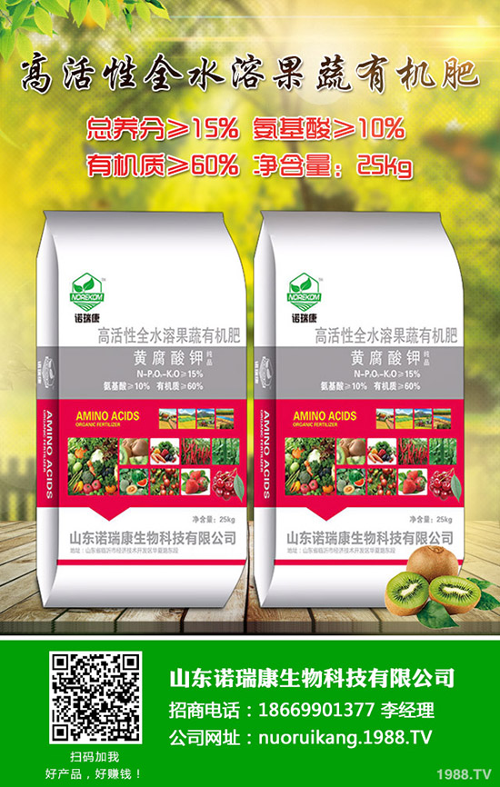蒜黃什么時候種植?蒜黃種植時間點及種植注意事項!