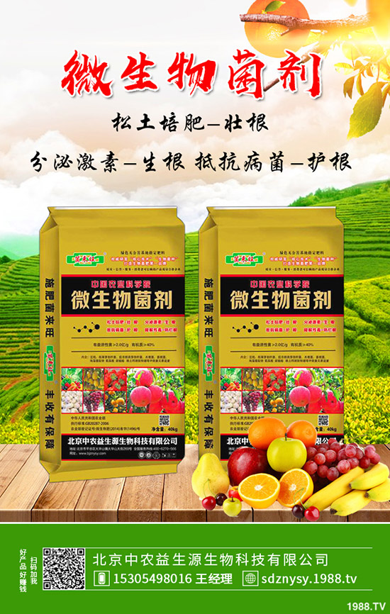 復(fù)合肥今年價(jià)格“保底”,2019-12-12最新行情走勢(shì)綜合分析!