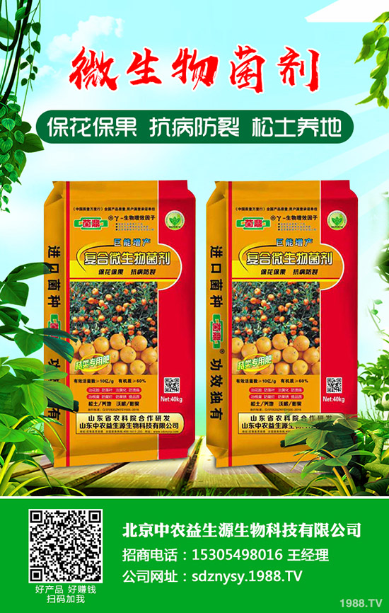 二銨冬儲(chǔ)何時(shí)打破僵局!2019-12-13磷酸二銨行情走勢(shì)預(yù)測(cè)!