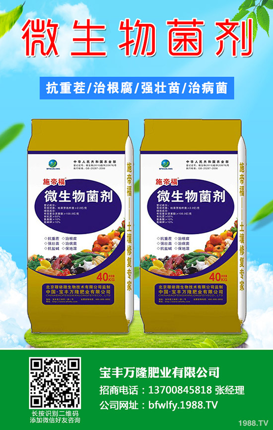 草莓摘葉什么時(shí)間好?有哪些方法?