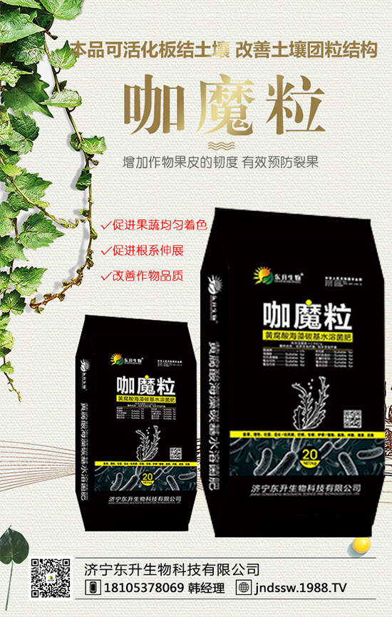 2020年種植獼猴桃賺錢嗎?獼猴桃市場前景分析!