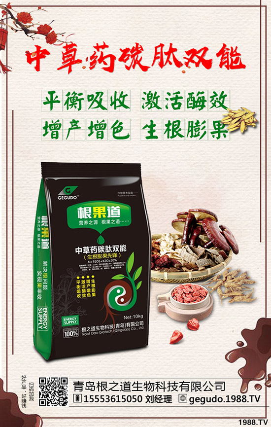 洋蔥種子價(jià)格如何?2020年洋蔥的種植前景!種植洋蔥賺錢嗎?