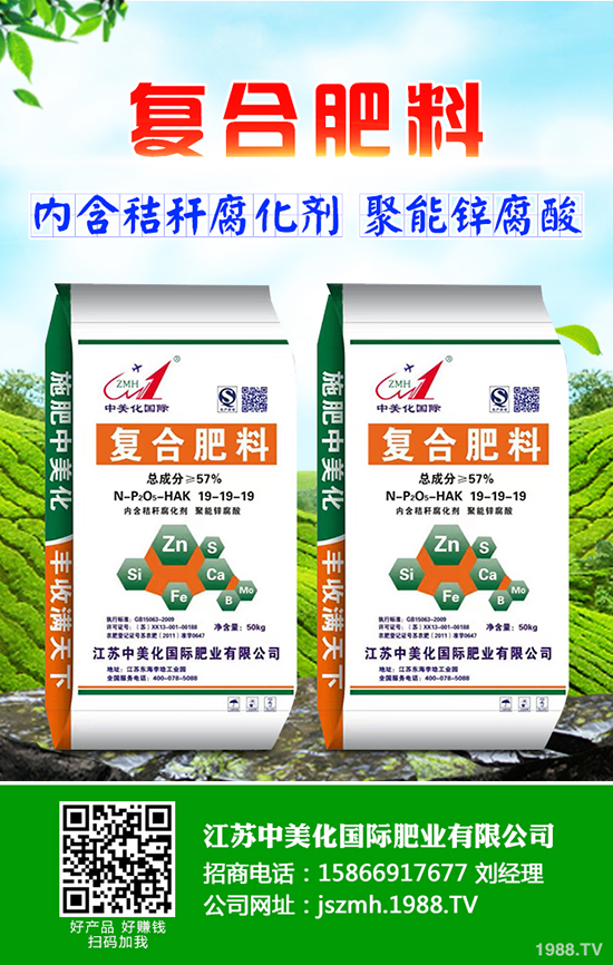 2020年茶油樹(shù)種植前景怎么樣?茶油樹(shù)種植方法有哪些