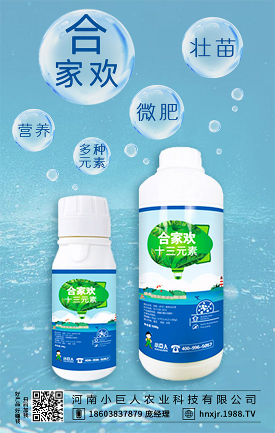 茶樹菇有哪些營(yíng)養(yǎng)價(jià)值?茶樹菇的功效與作用!
