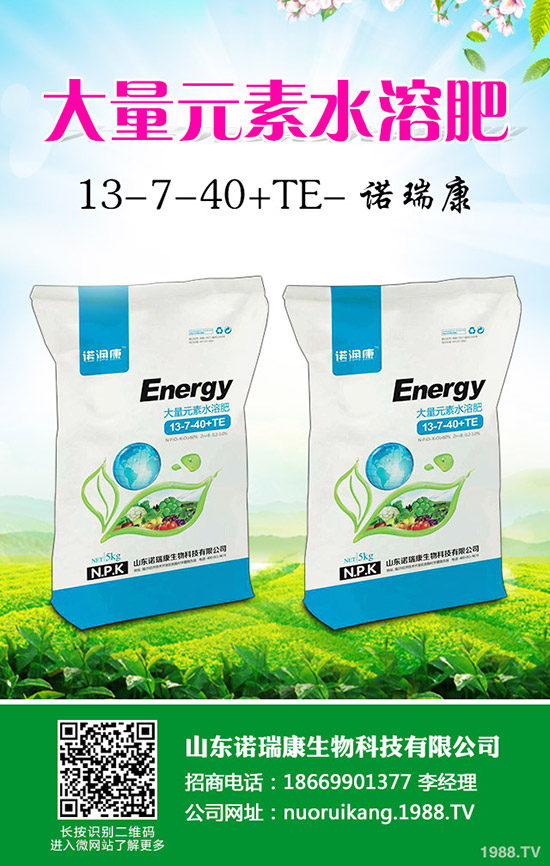 臨近年關!2020年尿素市場行情怎樣變化!最新行情分析!