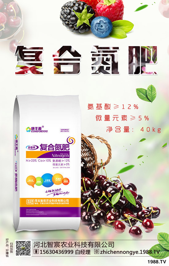 綠花菜該怎么種?綠花菜的高產種植技術