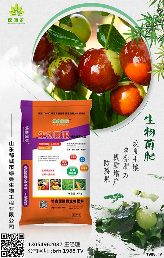 冬季蔬菜種植需要注意什么?大棚蔬菜施肥注意要點(diǎn)!