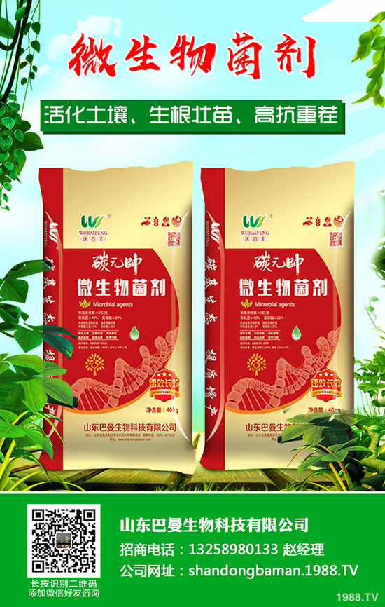 臨近年關(guān)!春節(jié)期間部分企業(yè)尿素停產(chǎn)!2019年12月末最新尿素行情走勢(shì)!