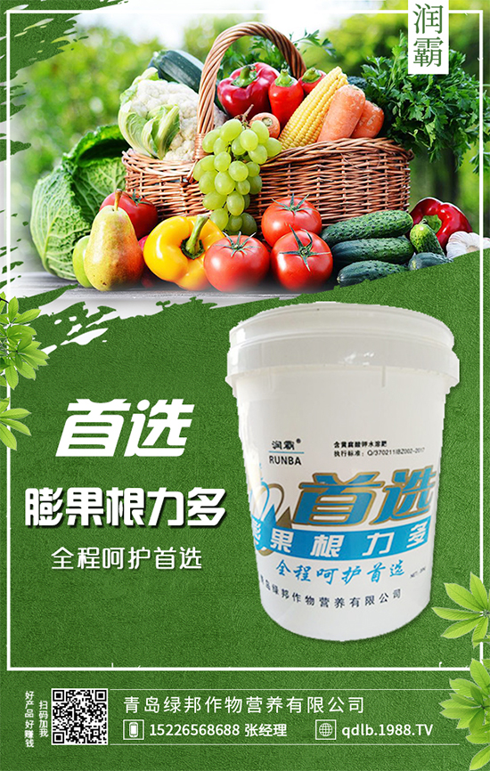 枇杷樹嫁接與不嫁接有區(qū)別嗎?枇杷樹的播種繁殖!