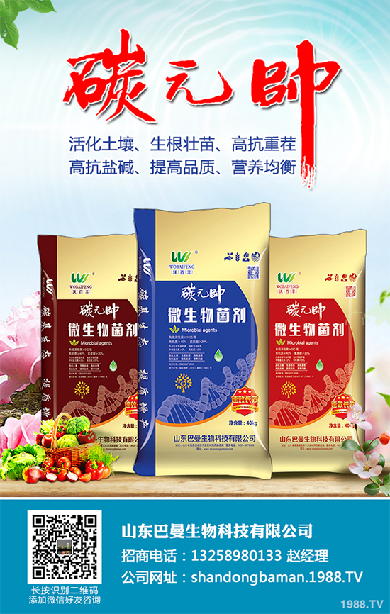 木耳菜有哪些營養(yǎng)價值?木耳菜的功效作用