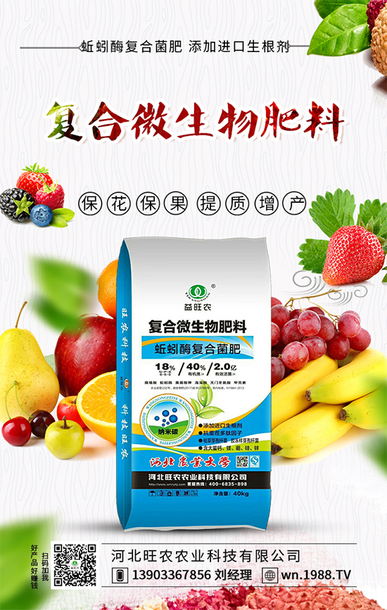 大白菜上的小黑點(diǎn)是什么?如何預(yù)防白菜長(zhǎng)黑點(diǎn)呢?