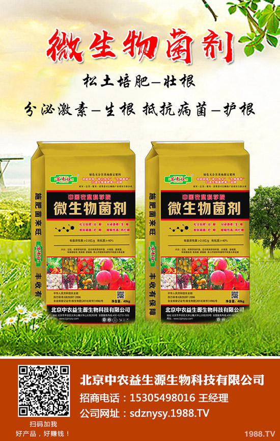 尿素價格再次上漲!2019年12月9日各地區(qū)尿素主流出廠報價
