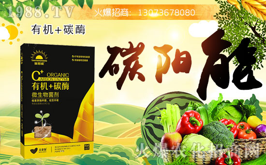 鄭州農(nóng)利達(dá)再度攜手1988.TV,開(kāi)拓網(wǎng)絡(luò)招商新局面!