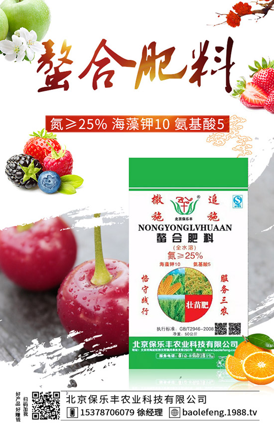 陽(yáng)臺(tái)番茄怎么種?陽(yáng)臺(tái)番茄種植方法