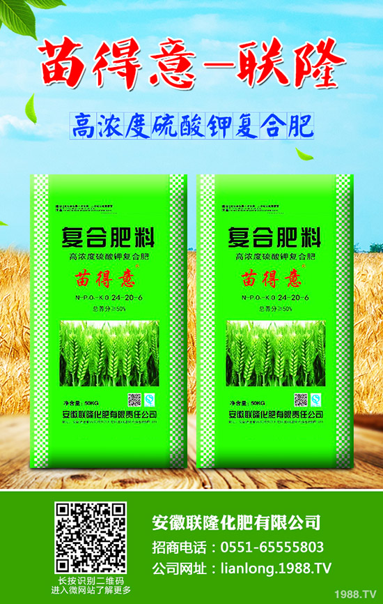 秋季如何種植香菜才能高產(chǎn)?秋季香菜種植技術(shù)!