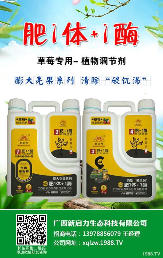 美國Intergro推出PreBiotech™等(甲殼素)系列創(chuàng)新生物產品