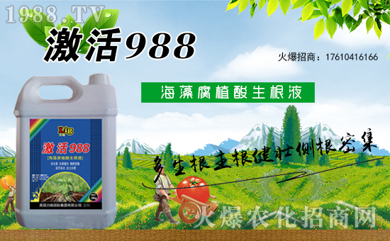 ӢٶȔy1988.TVyֹ(chung)(zhn)ل(chung)xͣ