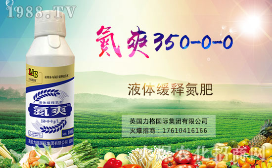 ӢٶȔy1988.TVyֹ(chung)(zhn)ل(chung)x