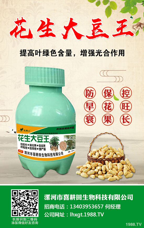 近期磷銨價(jià)格行情走勢分析2019.8.28
