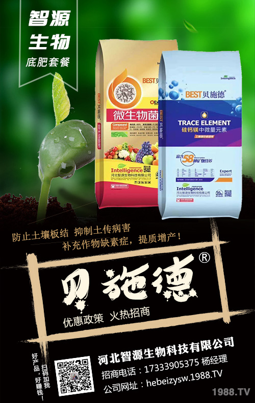 種植戶(hù)須看,豆角基肥,追肥施肥方案