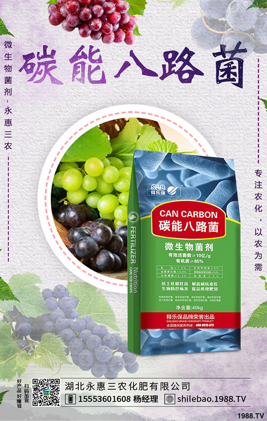 花菜什么時候種植合適?花菜種植時間及種植管理技術(shù)!