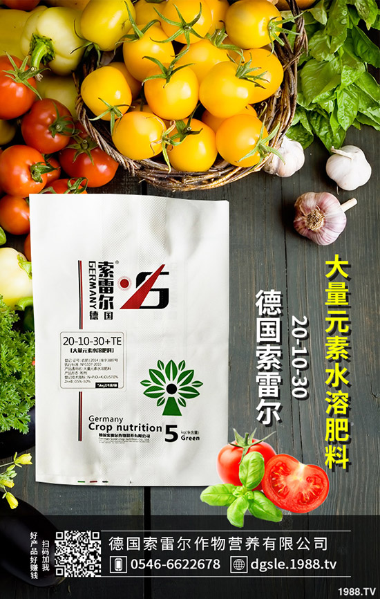 如何防治辣椒花葉。坷苯坊ㄈ~病的防治措施!