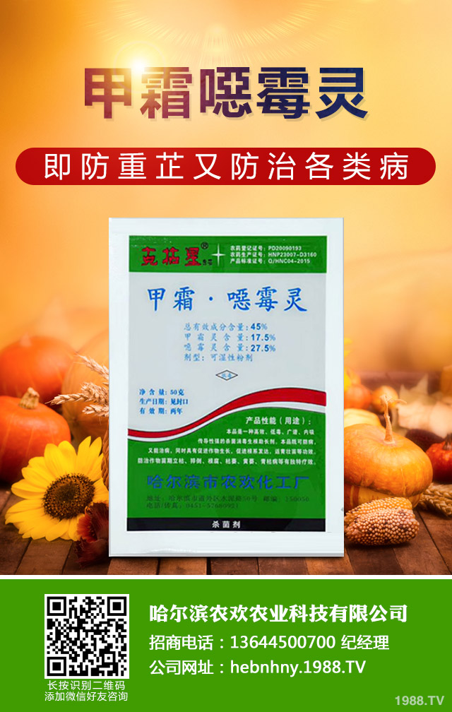 哪些方法能桑樹赤銹。可涑噤P病防治技巧