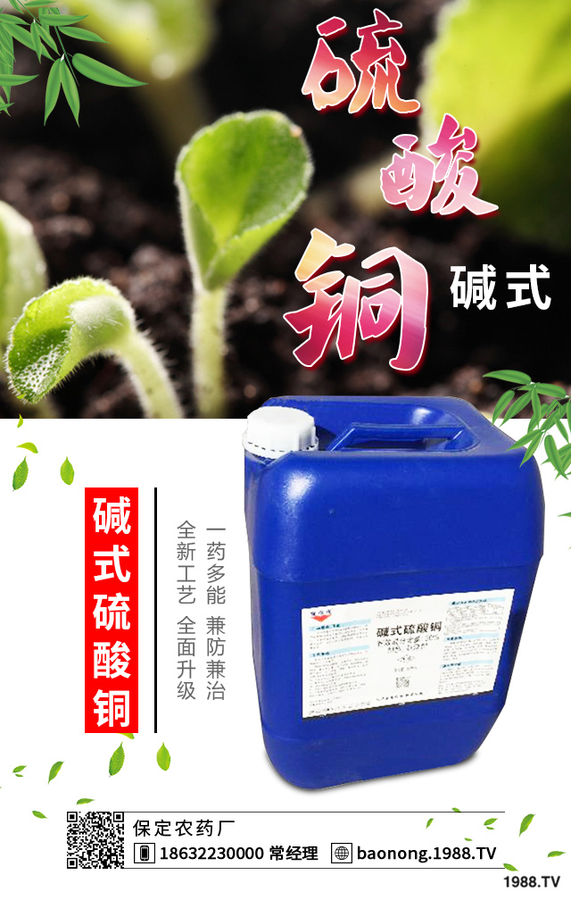白菜軟腐病怎么辦?白菜軟腐病防治技術(shù)