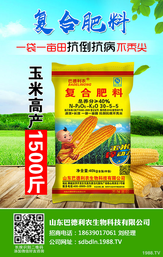 陽臺(tái)盆栽芹菜如何種植?盆栽芹菜的種植方法和管理要點(diǎn)!