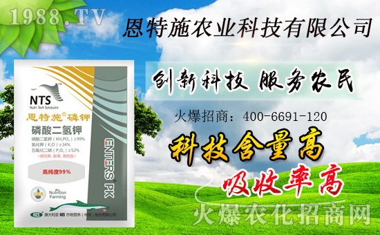 火爆農(nóng)化網(wǎng)喜迎新盟友,攜手恩特施共走財富之路