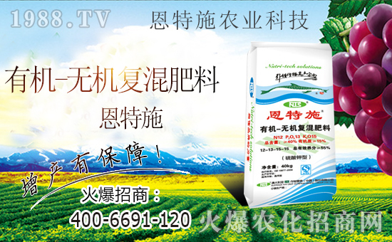火爆農(nóng)化網(wǎng)喜迎新盟友,攜手恩特施共走財富之路