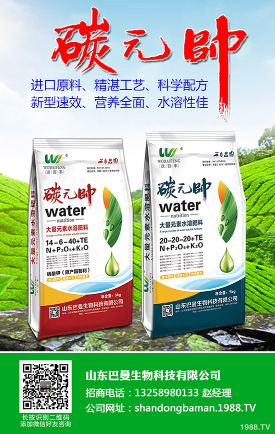 國際市場磷酸二銨一周走勢情況分述2019-9-25
