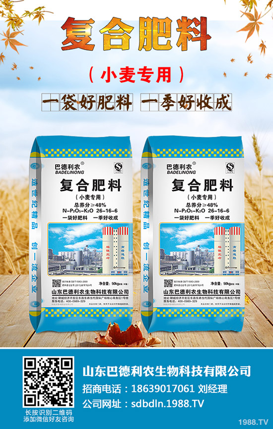 2019-9-25今日最新復(fù)合肥價(jià)格行情分析及后市預(yù)測早報(bào)
