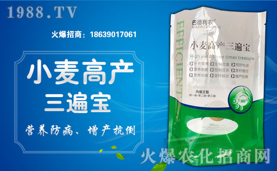 熱烈祝賀山東巴德利農(nóng)加盟1988.TV,開啟網(wǎng)絡(luò)招商新模式!
