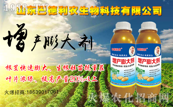 熱烈祝賀山東巴德利農(nóng)加盟1988.TV,開啟網(wǎng)絡(luò)招商新模式!