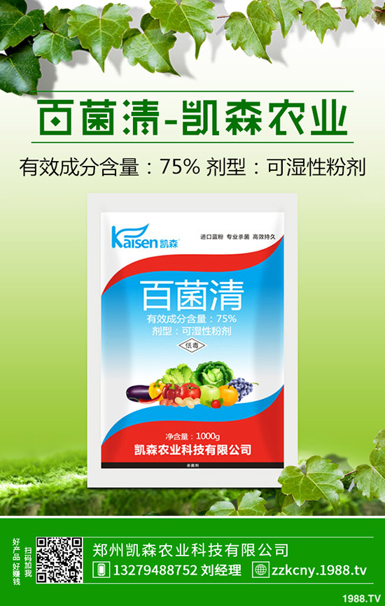 板栗樹(shù)種植后怎么管理?板栗種植的管理技術(shù)!