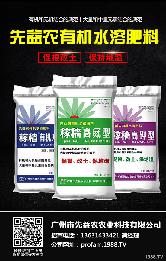 秋甘藍該怎么種植?秋甘藍高產(chǎn)種植技術