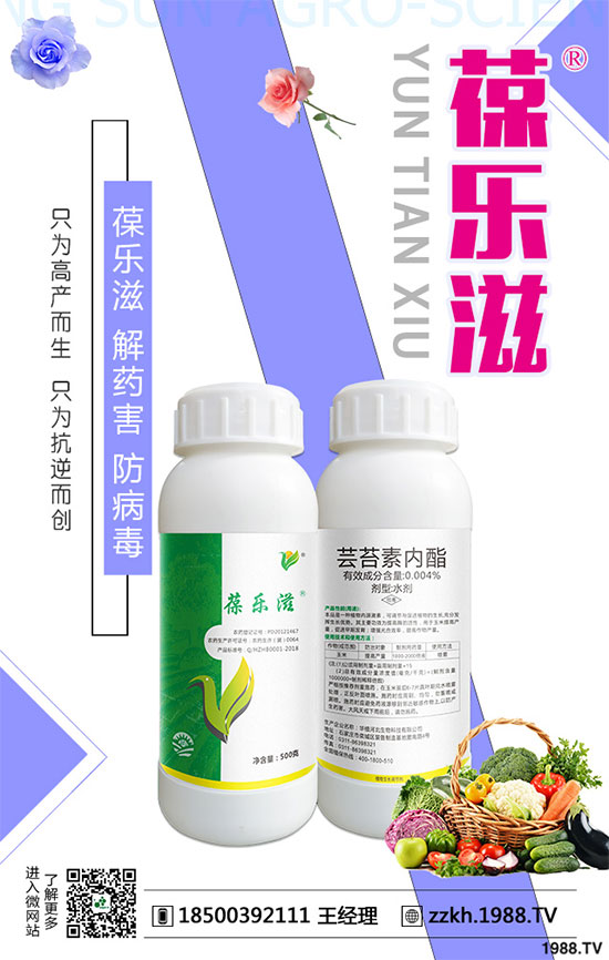 白蘿卜的功效與作用有哪些?白蘿卜的營(yíng)養(yǎng)價(jià)值!