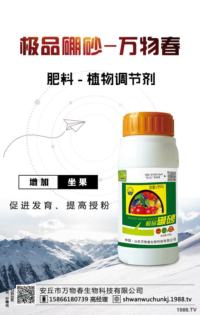 油橄欖怎么修剪?常見(jiàn)油橄欖修剪方法