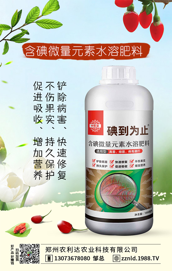茭白高產(chǎn)方案,認準茭白的科學(xué)施肥方法