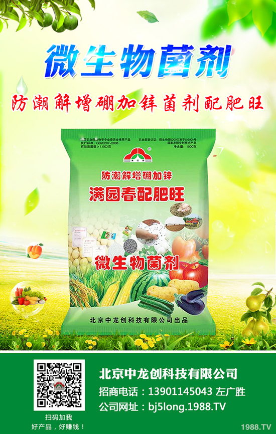 柑橘什么時(shí)候種植更好?柑橘的栽培要點(diǎn)有哪些?