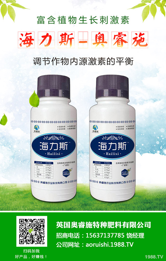 韭菜什么時候種植更好,韭菜種植時間和栽培技術