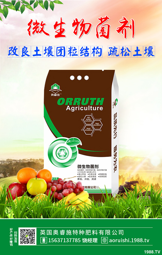 雪菜種植講究技巧,你會嗎?雪菜優(yōu)質(zhì)豐產(chǎn)種植技術