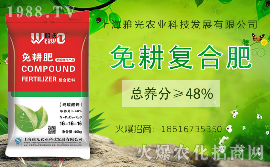 【上海雅光】祝大家新年快樂,財源滾滾,吉祥高照,鴻運(yùn)當(dāng)頭!