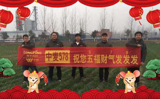 【聯(lián)隆化肥】祝大家在新的一年力身體健康,萬事如意!