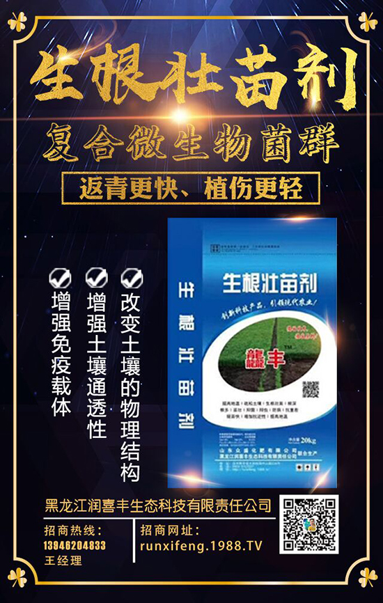 【黑龍江潤(rùn)喜豐】祝廣大經(jīng)銷(xiāo)商2020年事業(yè)騰飛!鼠年大吉!新年好!
